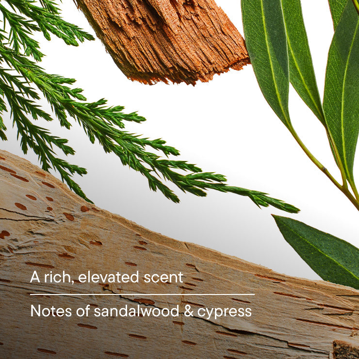Body Wash